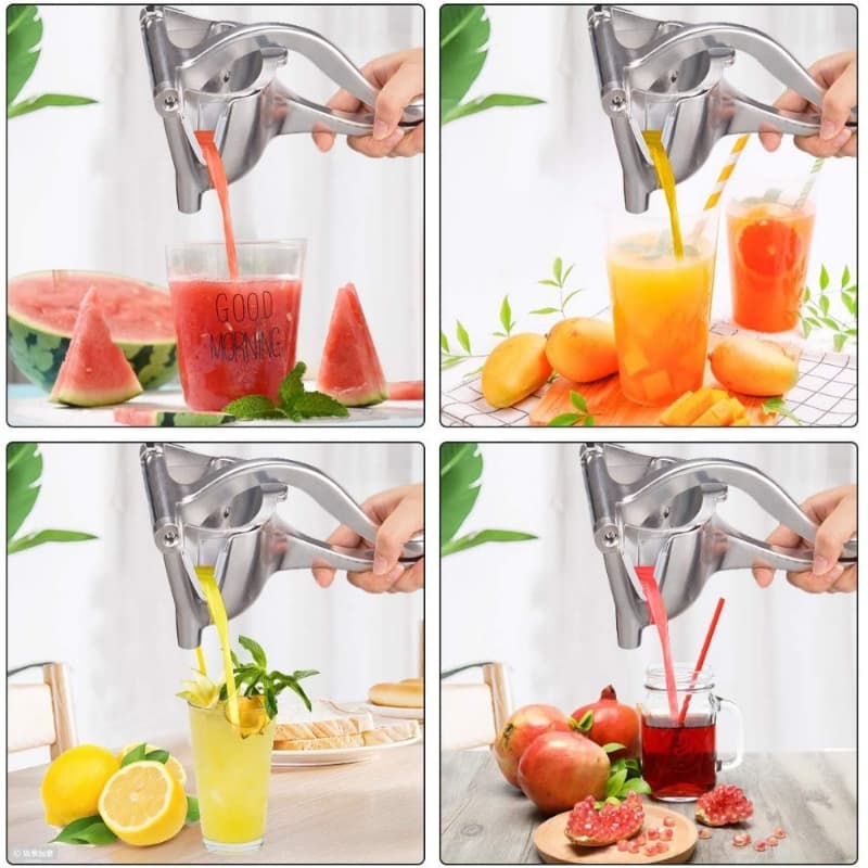 Hand Press Fruit Juicer